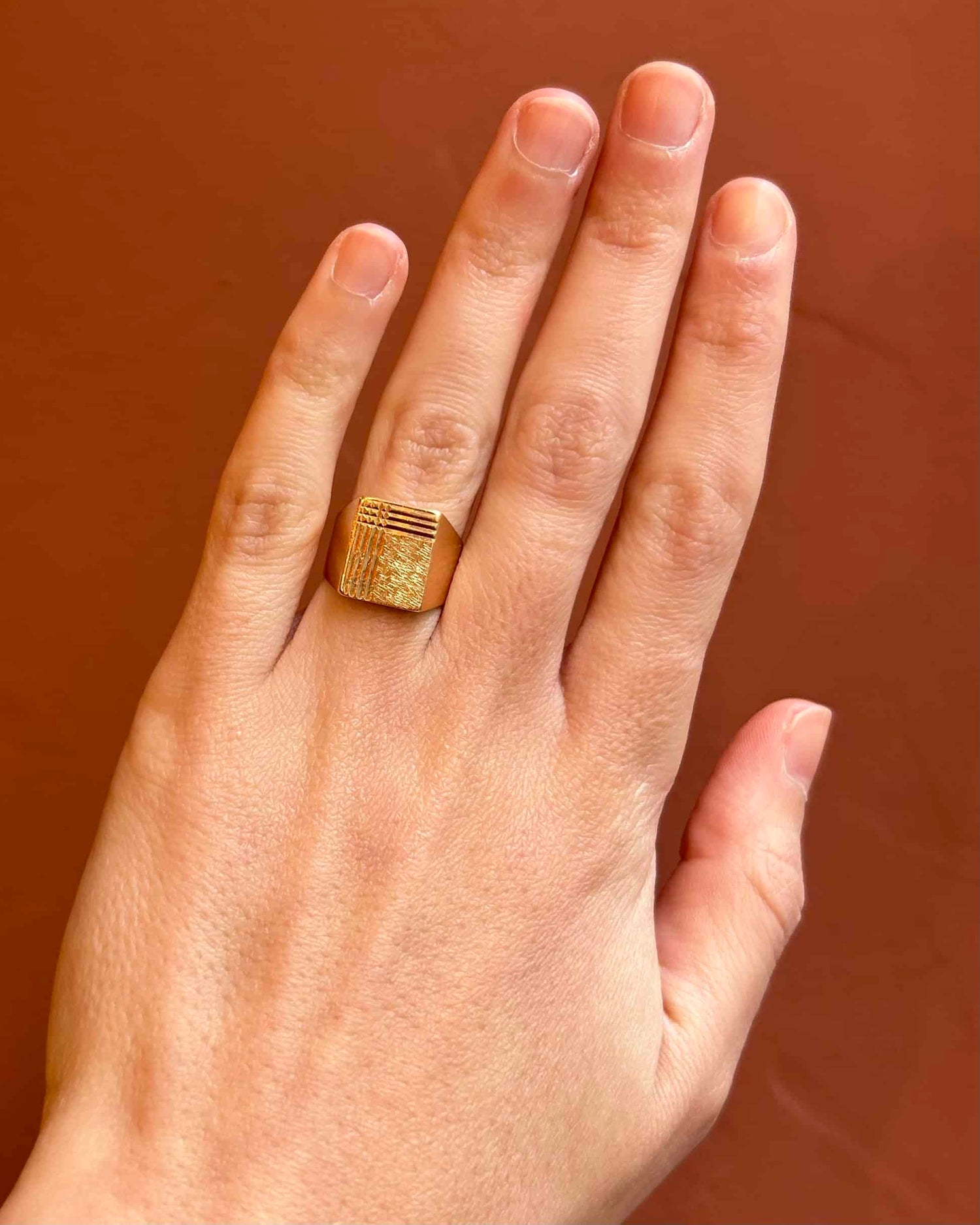 Chevalière Or 18 carats "Esteban"