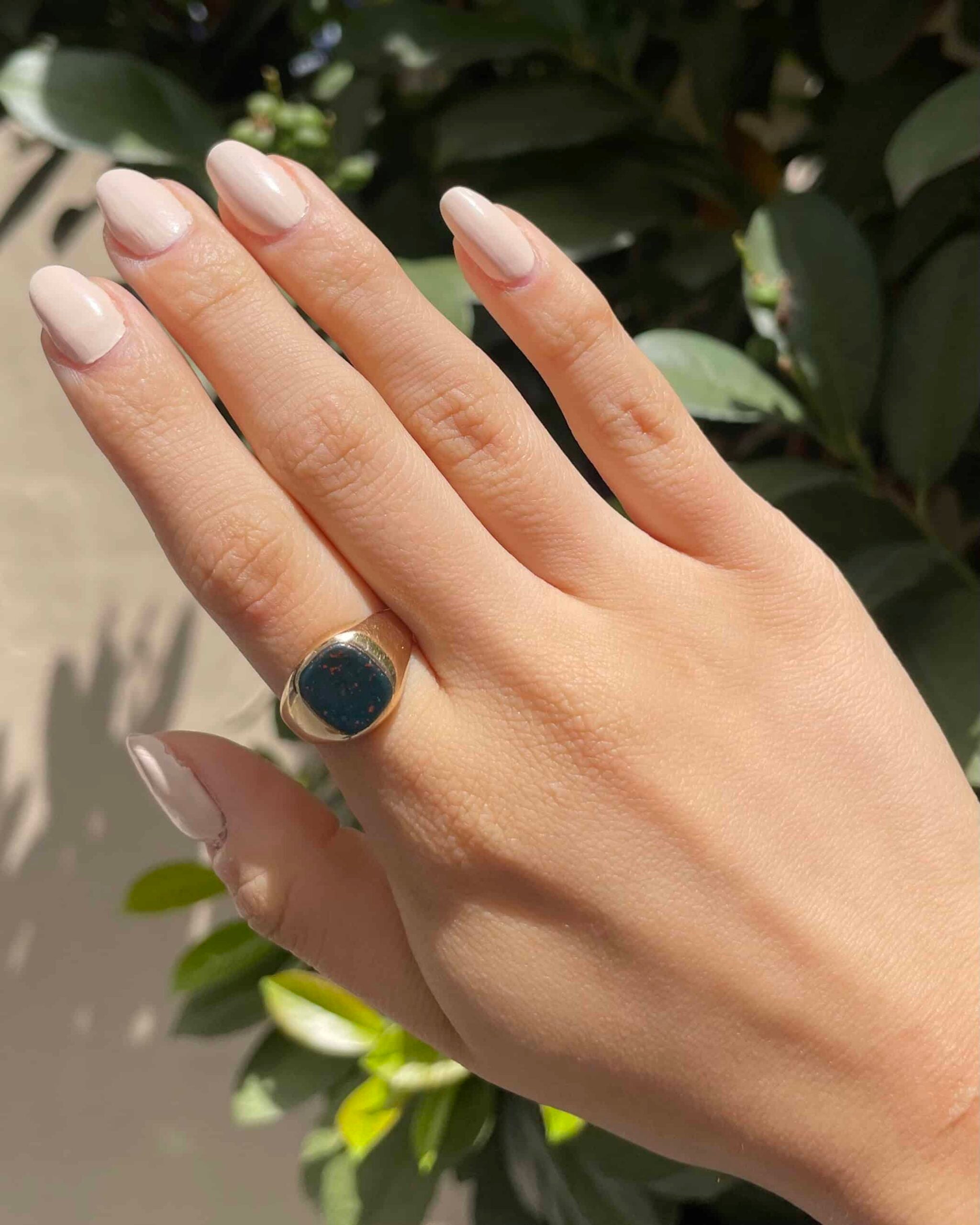 Anillo de sello de piedra de sangre "Brayshawn"
