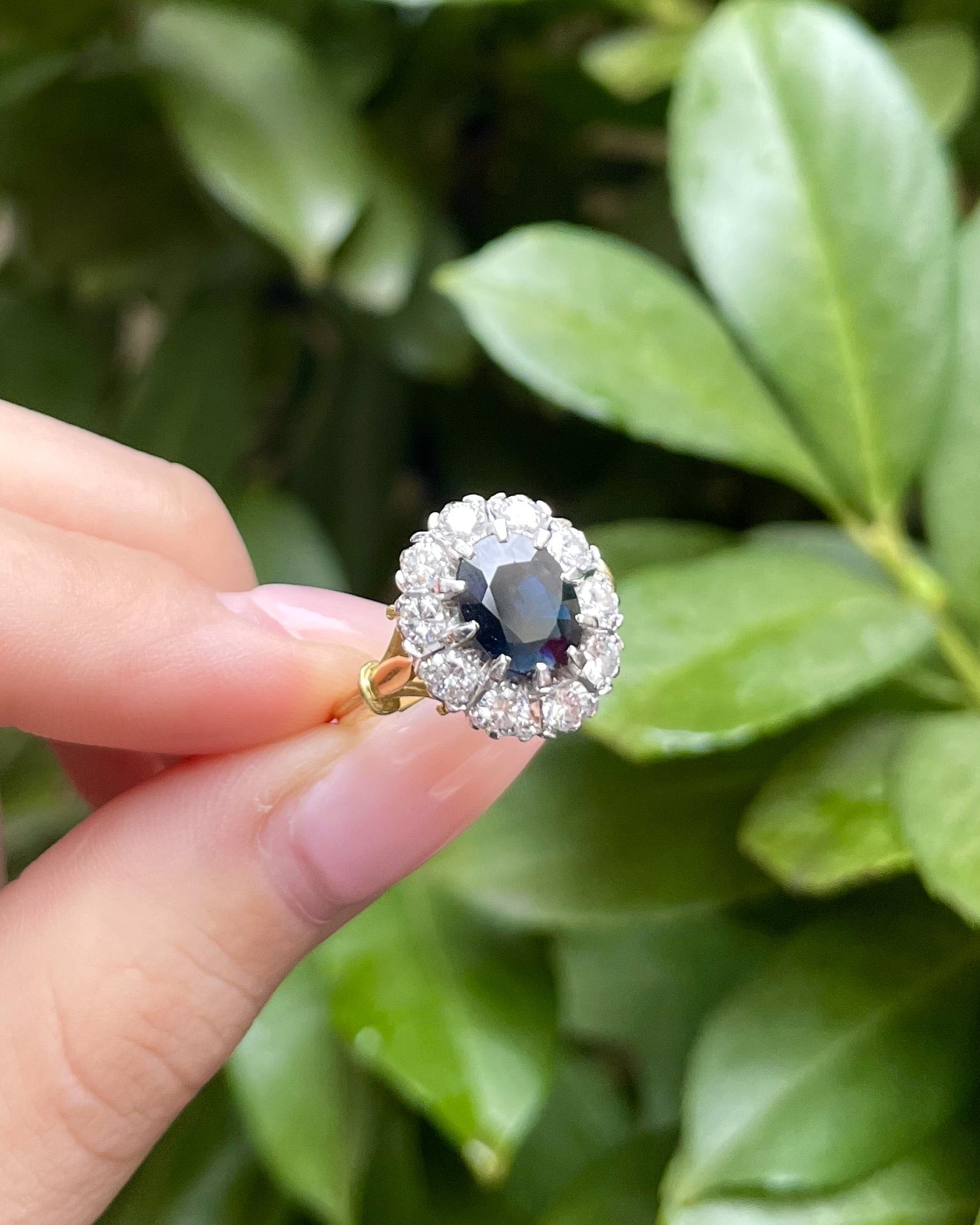 Bague Marguerite Saphir 2.30 Carats & 10 Diamants "Everlee" - Elliade Paris