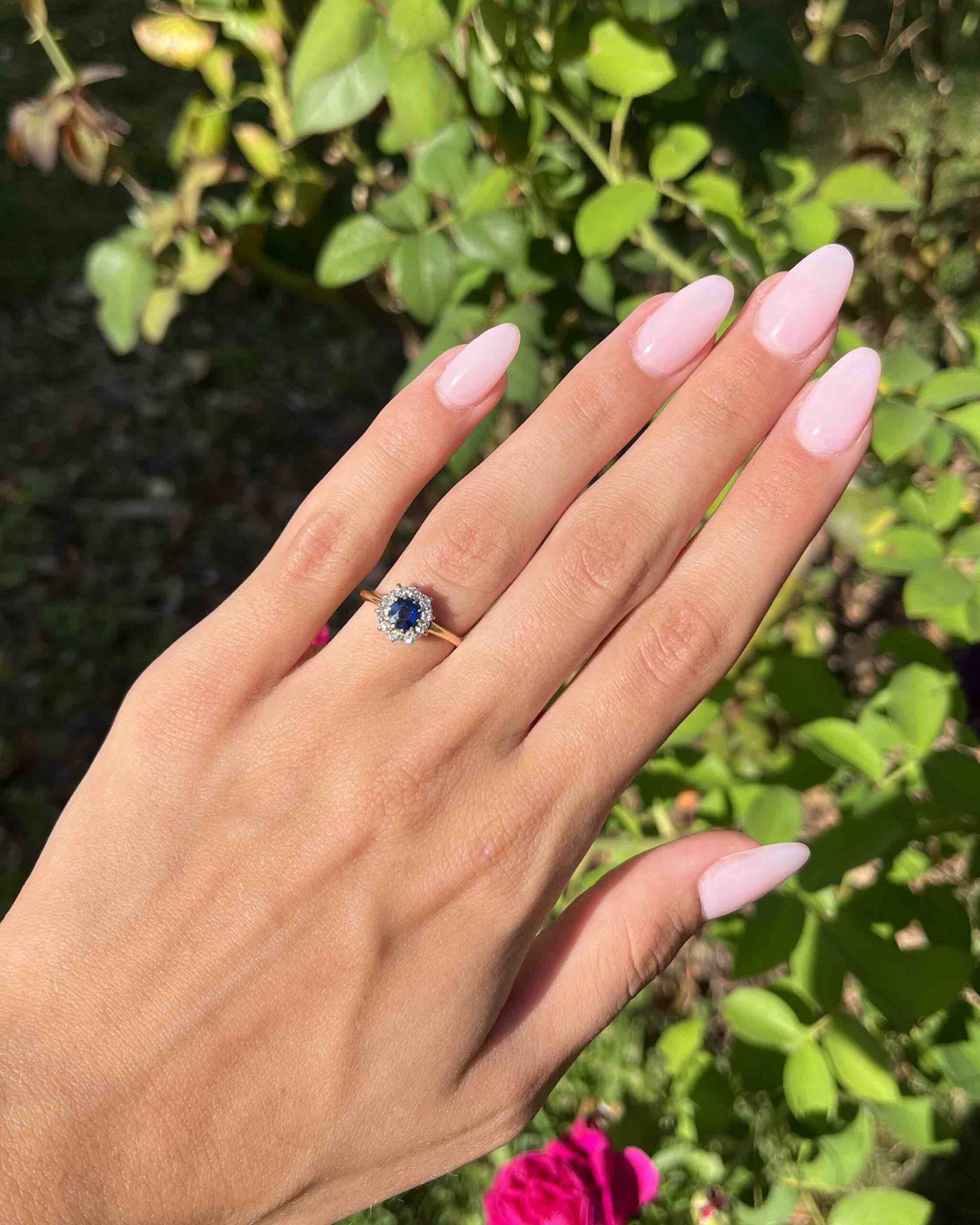 "Mavis" Sapphire & Diamond Daisy Ring