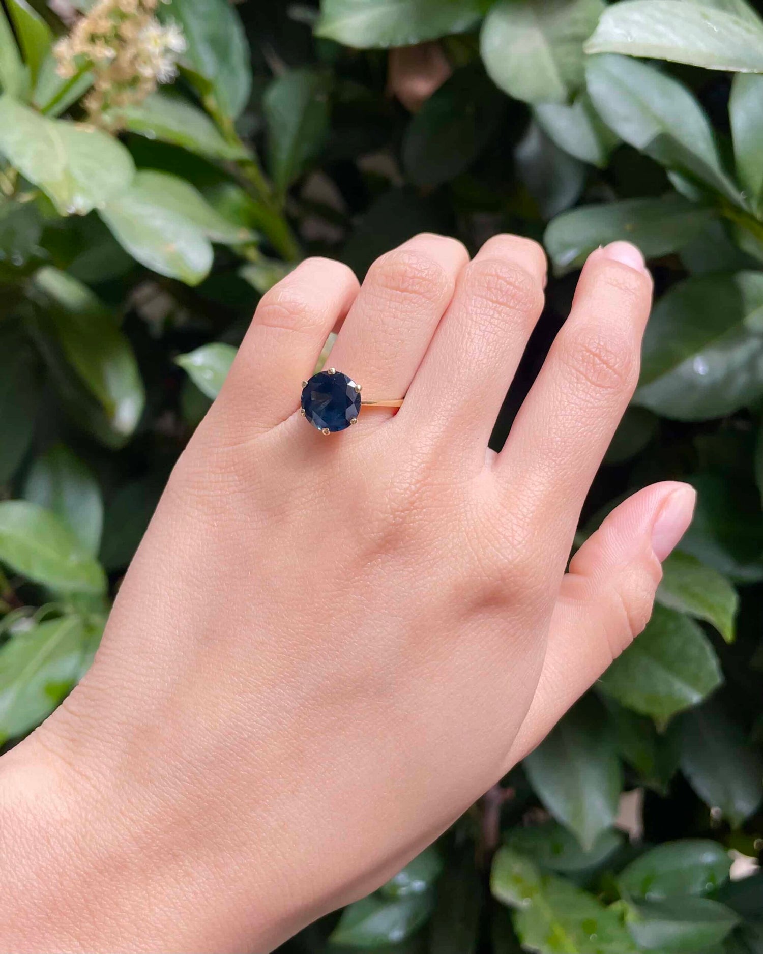 Anillo solitario de zafiro de 5,60 quilates "Pamela"
