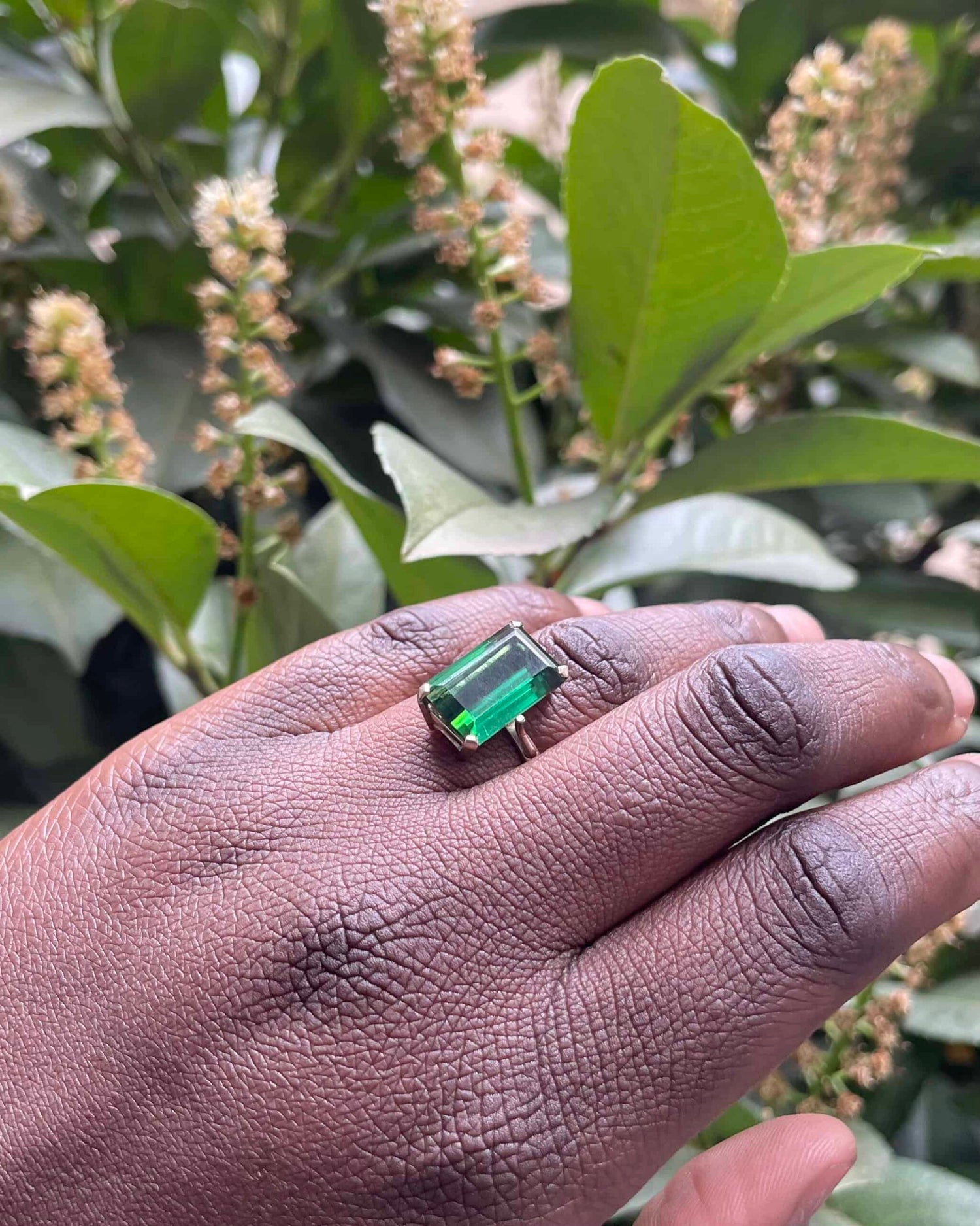 Anillo de cóctel "Jorine" de turmalina de 7 quilates