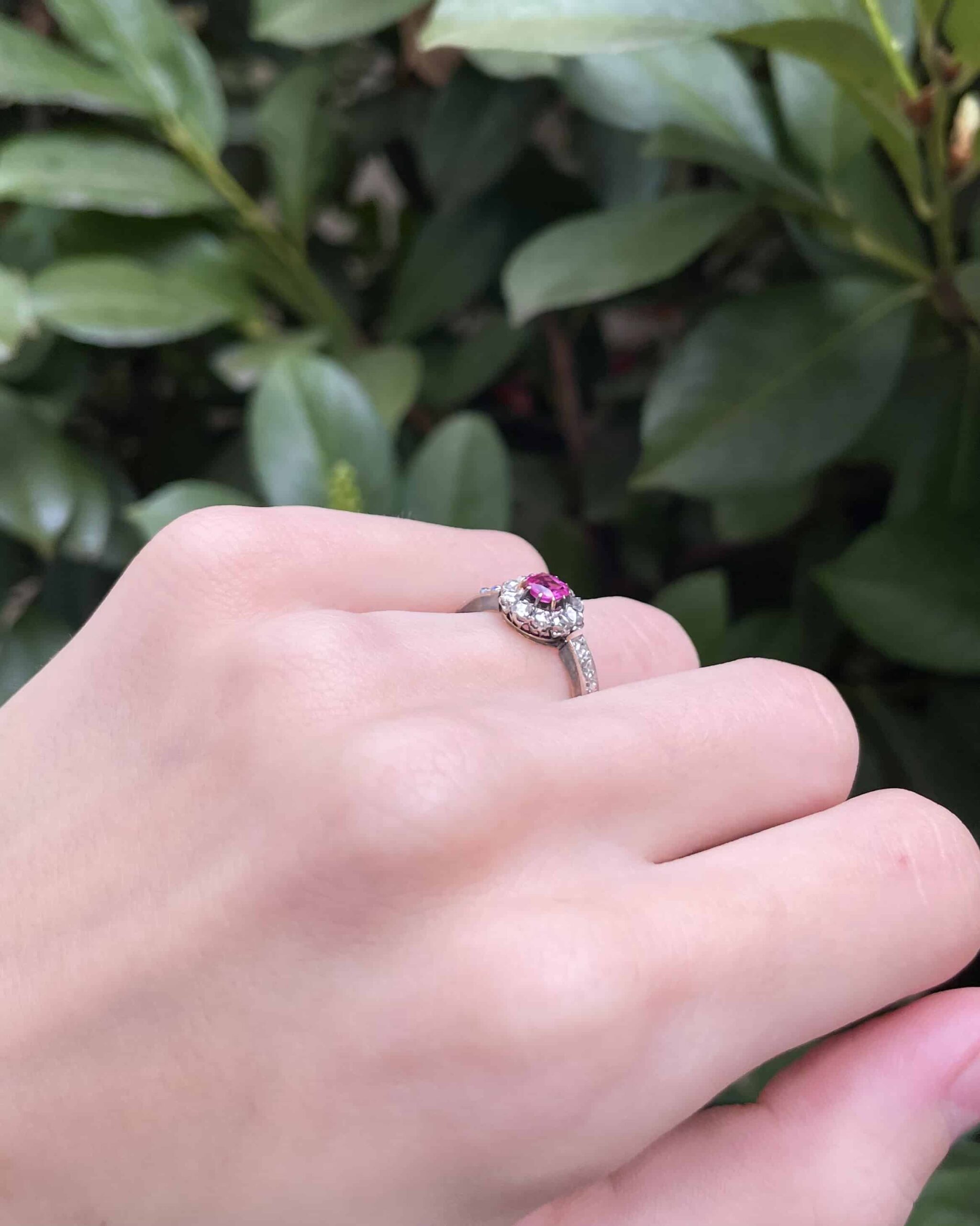 Anillo "Fallon" con zafiro rosa y margarita de 16 diamantes