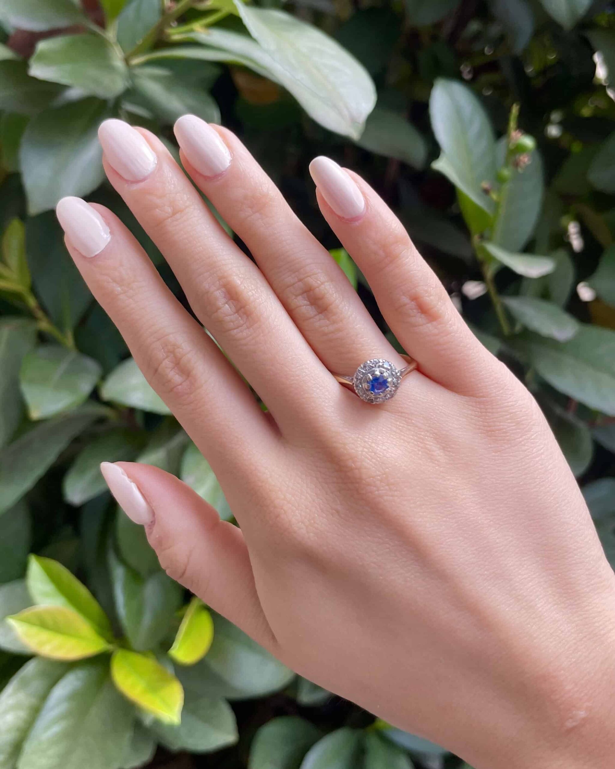 Bague Marguerite Saphir &amp; 12 Diamants "Eloisa"
