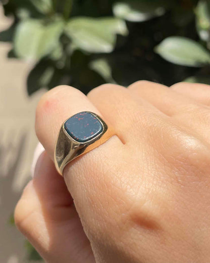 Anillo de sello de piedra de sangre &quot;Brayshawn&quot;