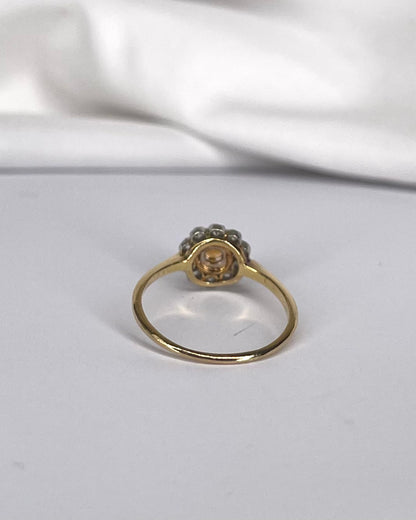 Marguerite Garnet Hessonite 0.37 carat &amp; 10 Diamonds &quot;Alexia&quot; Ring