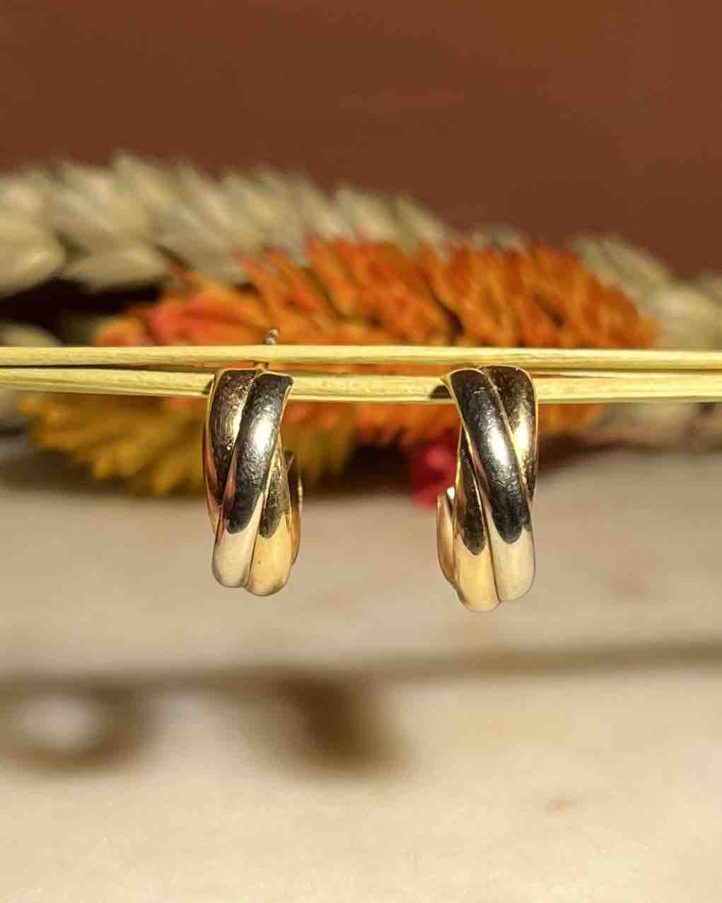 Criollas con patrón entrelazado dorado "Léolia"