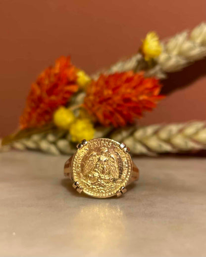 Bague Chevalière Pièce d&