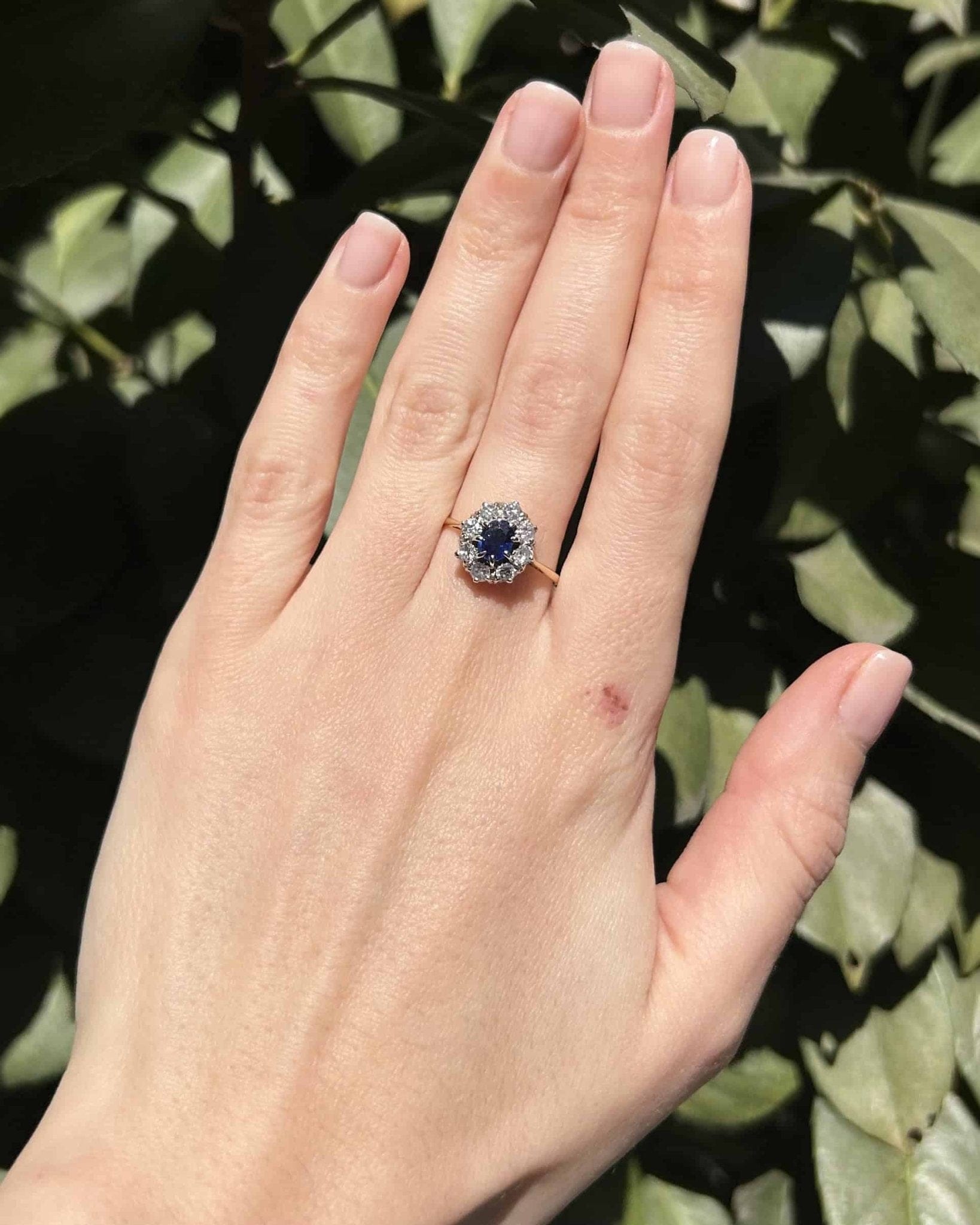 Bague Marguerite Saphir 0.75 Carat &amp; Diamants "Elara" - Elliade Paris