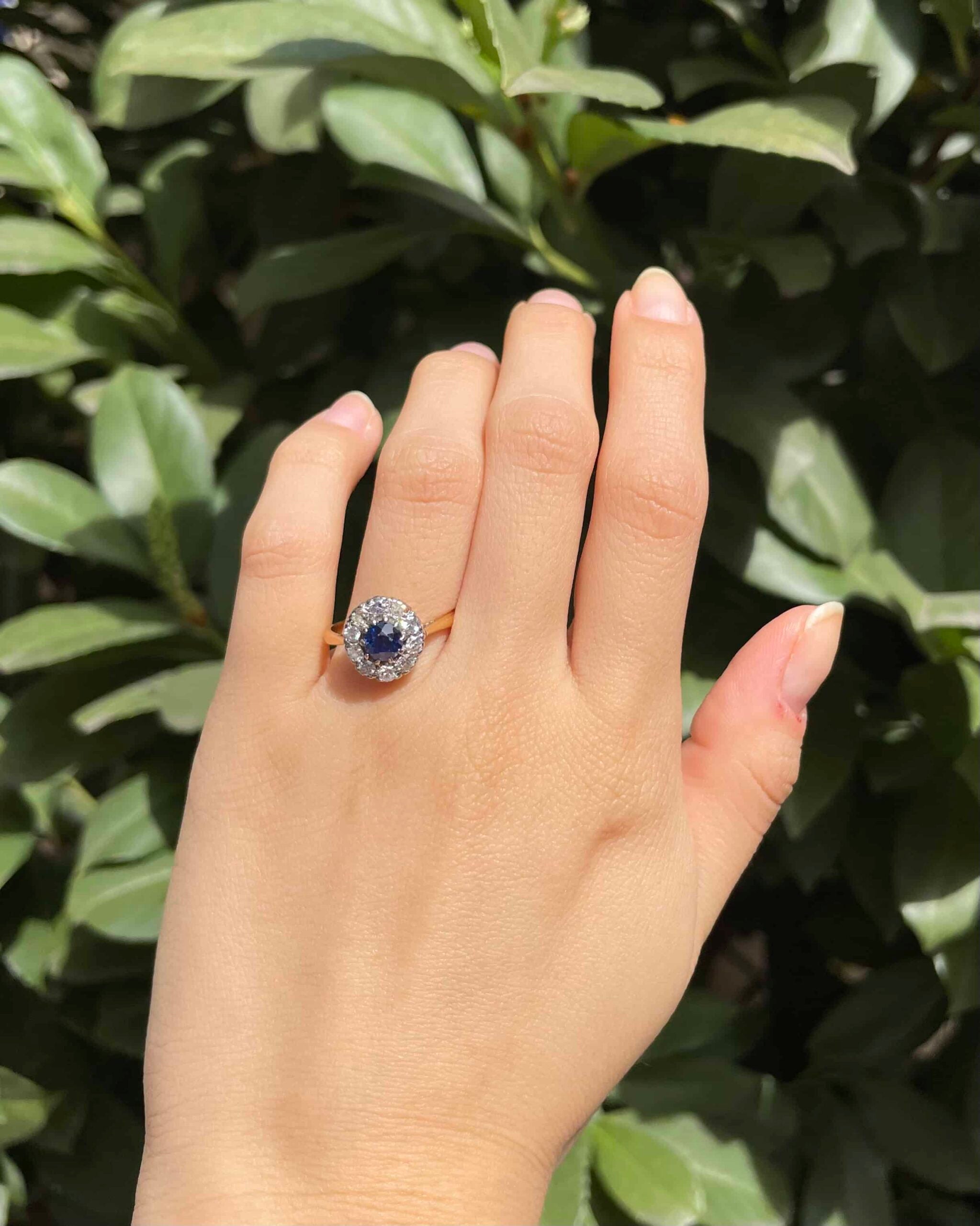 "Telma" Sapphire &amp;amp; Diamond Daisy Ring