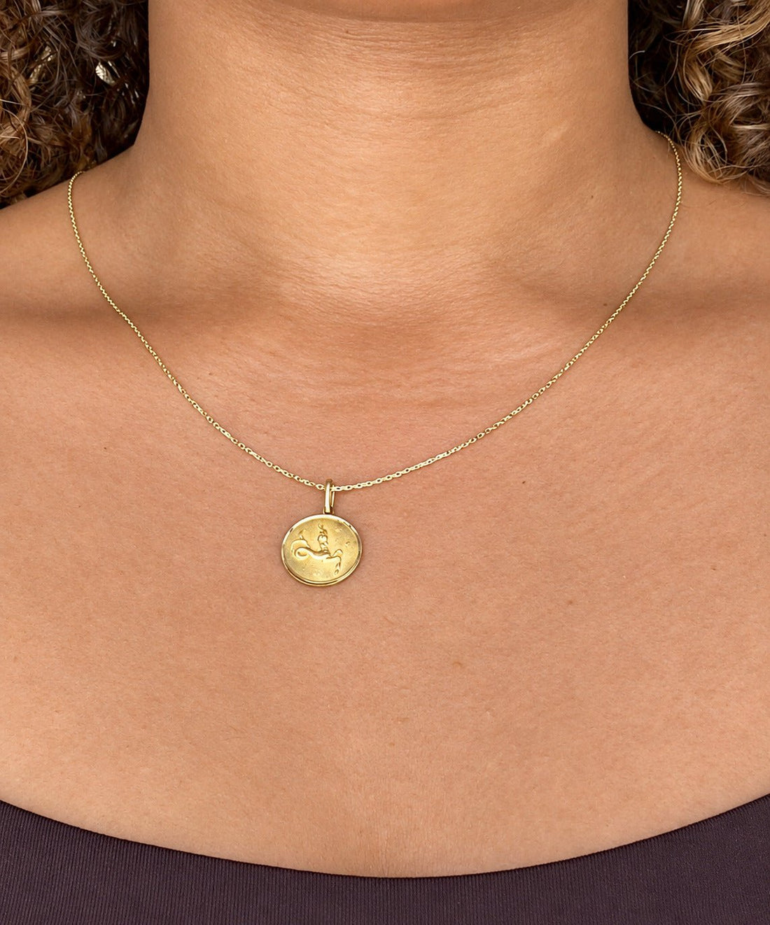 Médaille Zodiaque Or Jaune 18 carats Capricorne "Josh" - Elliade Paris