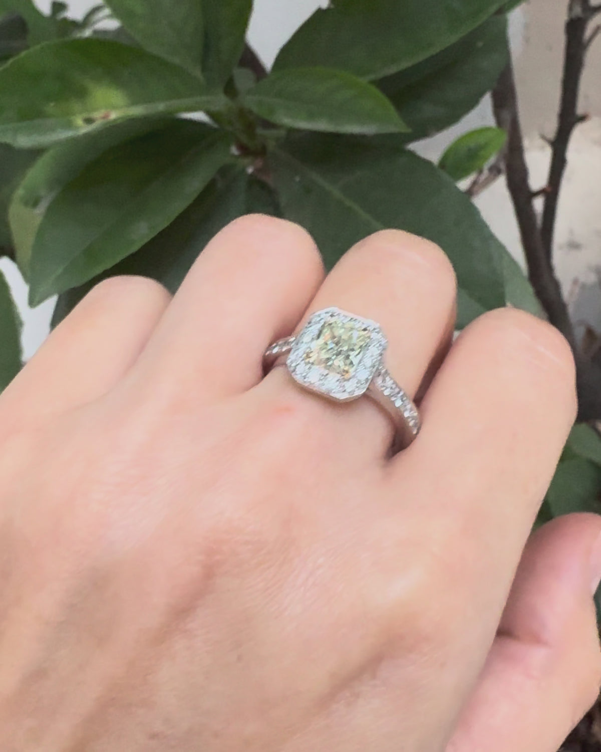 Fancy Light Yellow Diamond Ring &amp; White Diamonds 1.98 carats "Sam"